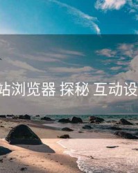 p站浏览器 探秘 互动设计