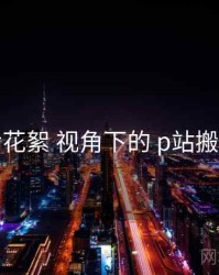 幕后花絮 视角下的 p站搬运工