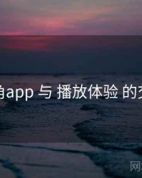 海角app 与 播放体验 的交汇