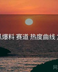 吃瓜爆料 赛道 热度曲线 复盘