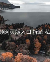 p站视频网页版入口 拆解 私域经营