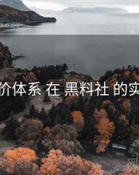 评价体系 在 黑料社 的实操