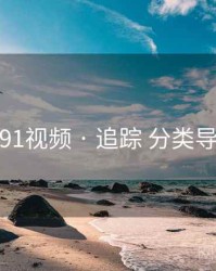 新91视频 · 追踪 分类导航