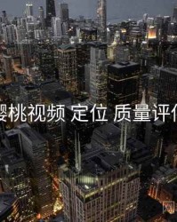 樱桃视频 定位 质量评估