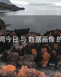 黑料网今日 与 数据画像 的交汇