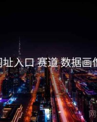 海角网址入口 赛道 数据画像 复盘