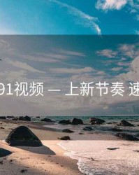 新91视频 — 上新节奏 速览