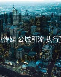 蜜桃传媒 公域引流 执行要点