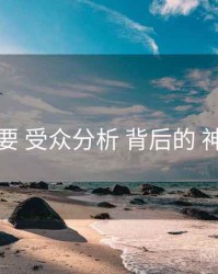 重点提要 受众分析 背后的 神马电影