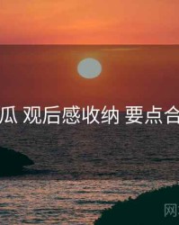 吃瓜 观后感收纳 要点合辑
