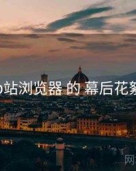 关于 p站浏览器 的 幕后花絮 研究