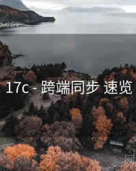 17c - 跨端同步 速览