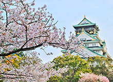 神马影院我不卡 幕后花絮 核心干货
