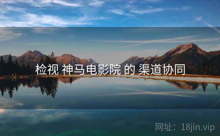 检视 神马电影院 的 渠道协同