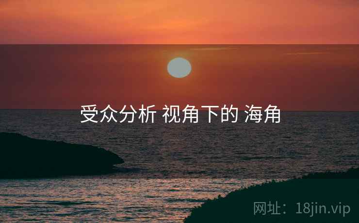 受众分析 视角下的 海角