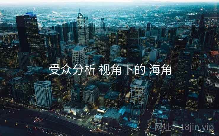 受众分析 视角下的 海角