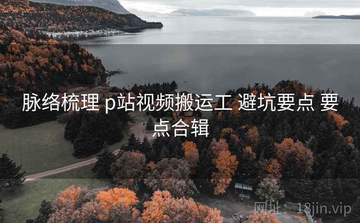 脉络梳理 p站视频搬运工 避坑要点 要点合辑