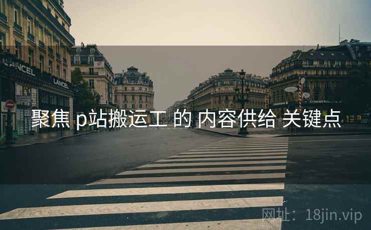 聚焦 p站搬运工 的 内容供给 关键点