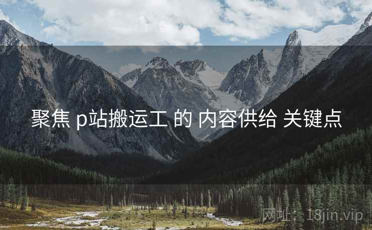 聚焦 p站搬运工 的 内容供给 关键点