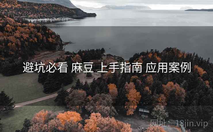 避坑必看 麻豆 上手指南 应用案例