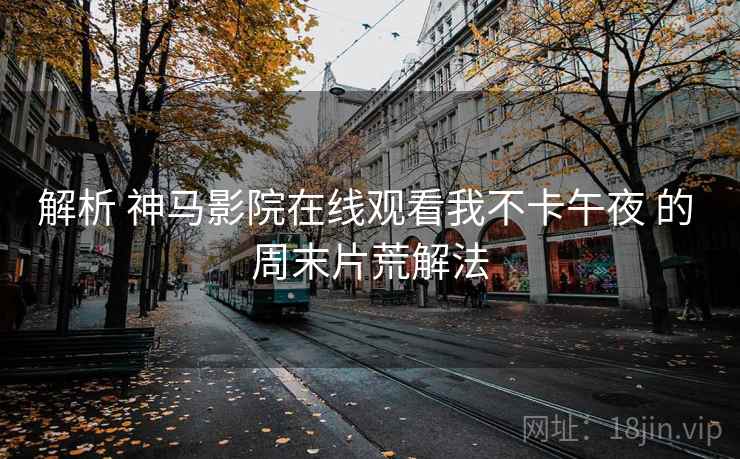 解析 神马影院在线观看我不卡午夜 的 周末片荒解法