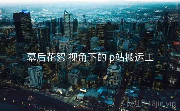幕后花絮 视角下的 p站搬运工