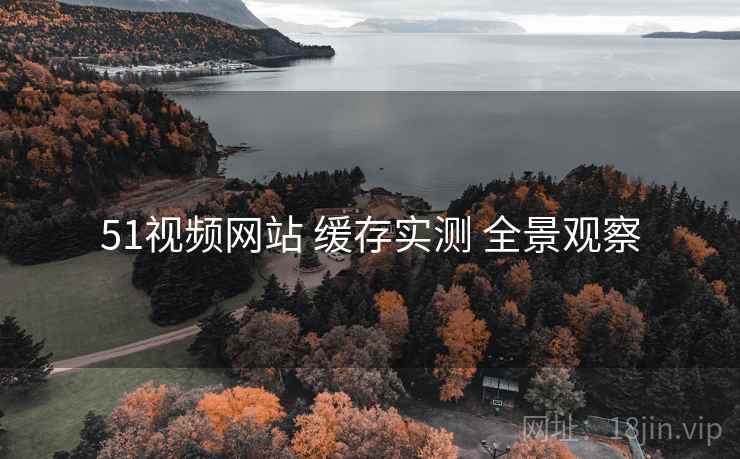51视频网站 缓存实测 全景观察