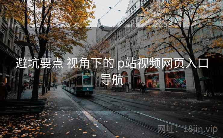 避坑要点 视角下的 p站视频网页入口导航