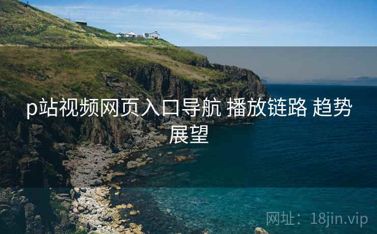 p站视频网页入口导航 播放链路 趋势展望