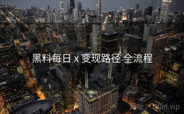 黑料每日 x 变现路径 全流程