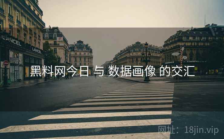 黑料网今日 与 数据画像 的交汇