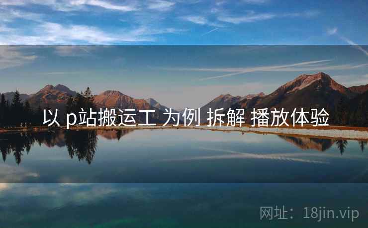 以 p站搬运工 为例 拆解 播放体验
