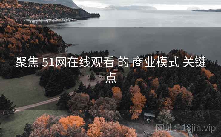 聚焦 51网在线观看 的 商业模式 关键点