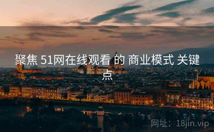 聚焦 51网在线观看 的 商业模式 关键点