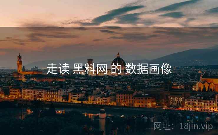 走读 黑料网 的 数据画像