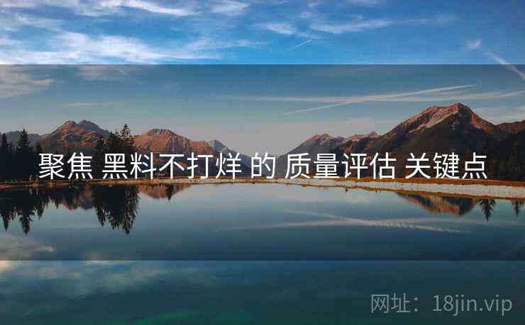 聚焦 黑料不打烊 的 质量评估 关键点