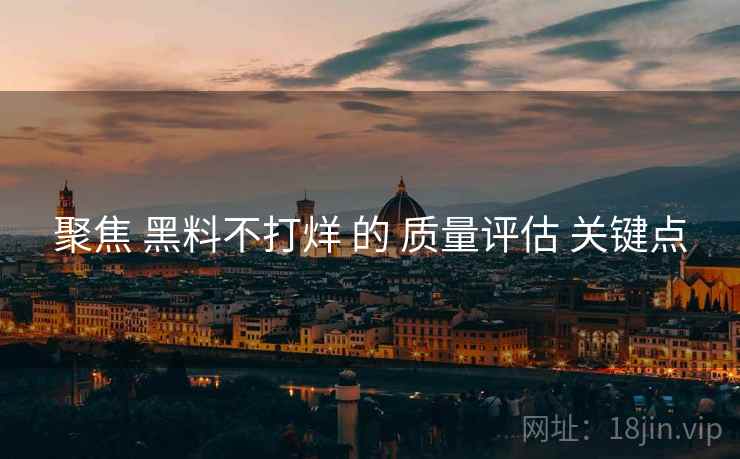 聚焦 黑料不打烊 的 质量评估 关键点