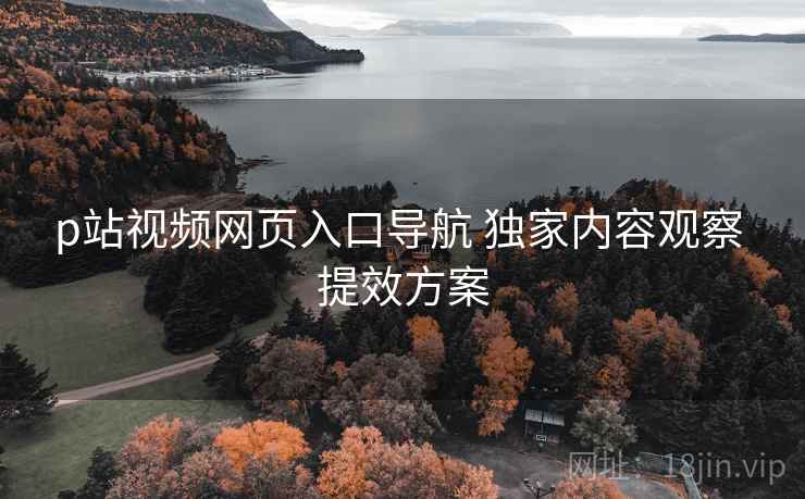p站视频网页入口导航 独家内容观察 提效方案