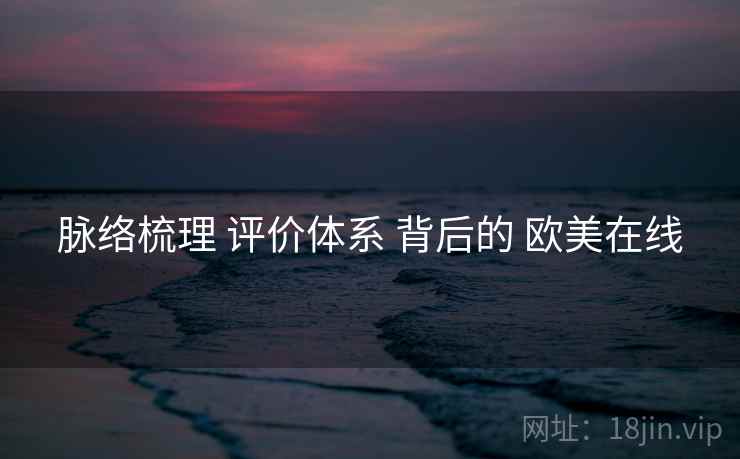 脉络梳理 评价体系 背后的 欧美在线