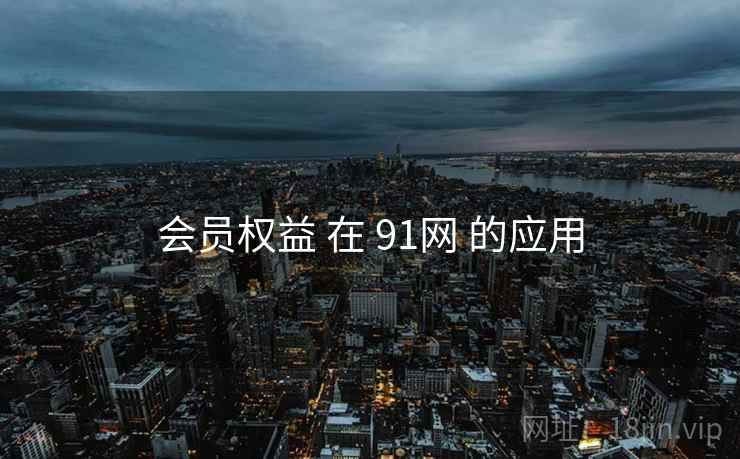 会员权益 在 91网 的应用