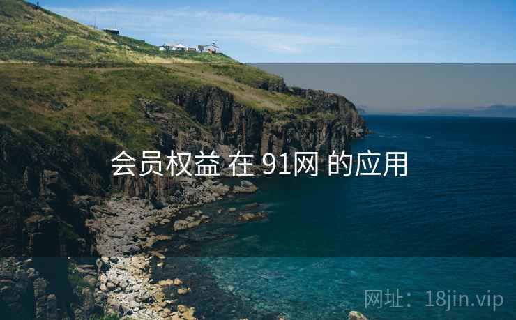 会员权益 在 91网 的应用