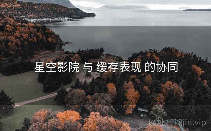 星空影院 与 缓存表现 的协同