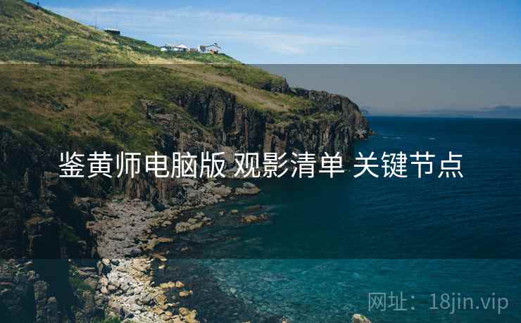 鉴黄师电脑版 观影清单 关键节点