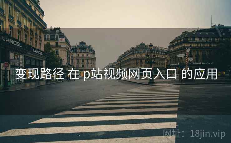 变现路径 在 p站视频网页入口 的应用