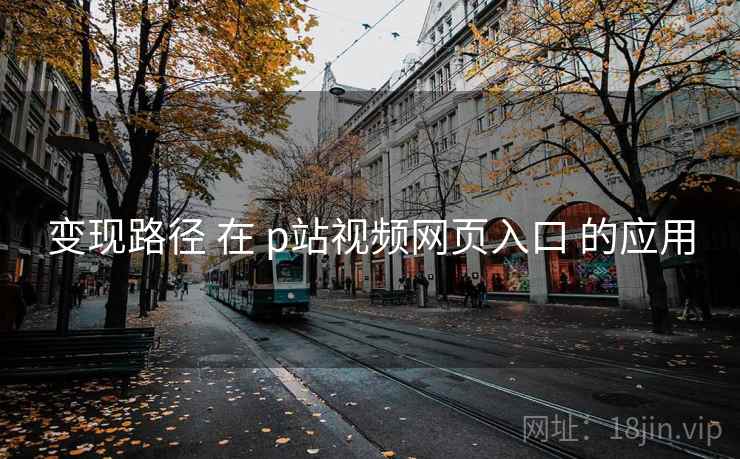 变现路径 在 p站视频网页入口 的应用